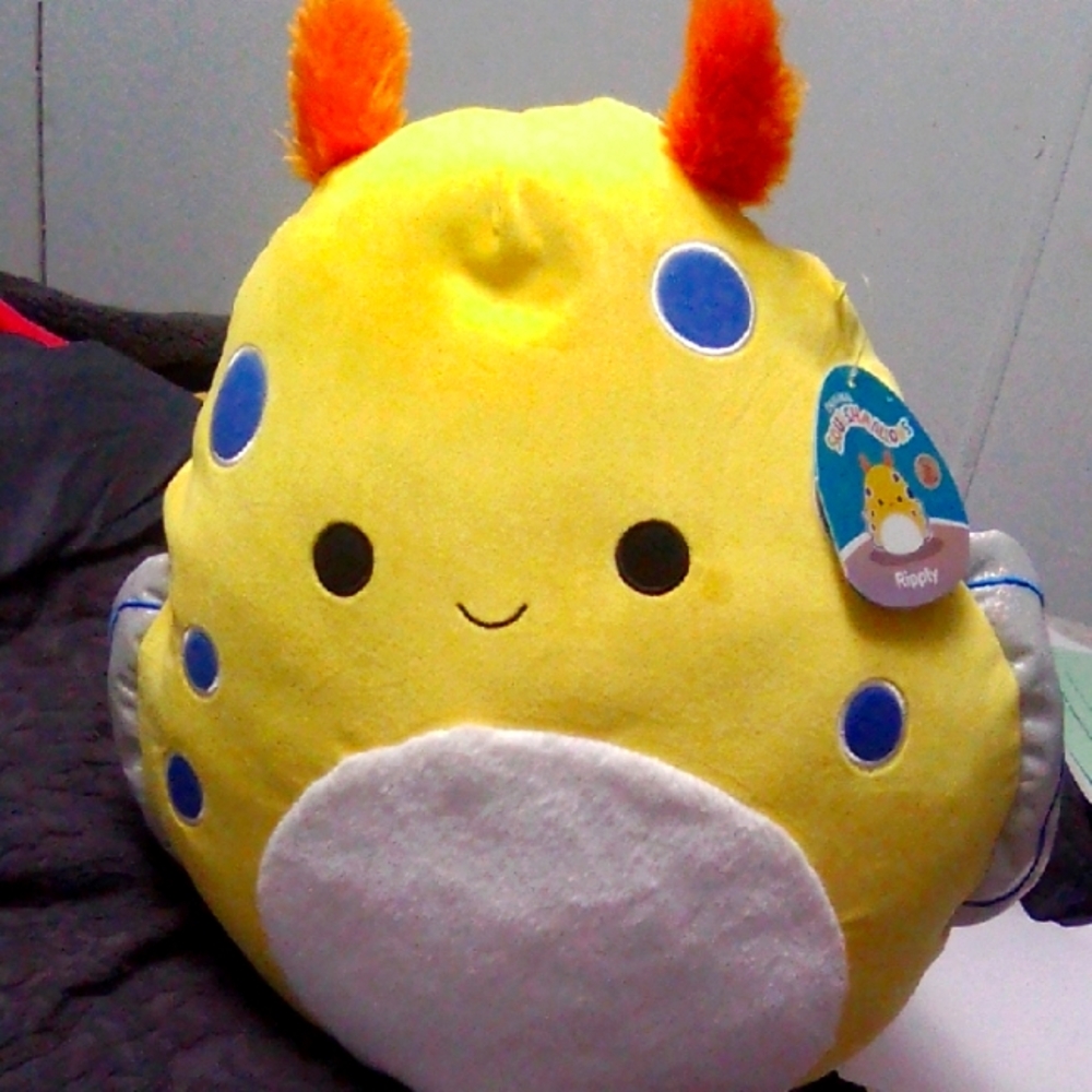 Ripply, 2022, Special Edition Tag 14" Sea Slug Squishmallow.